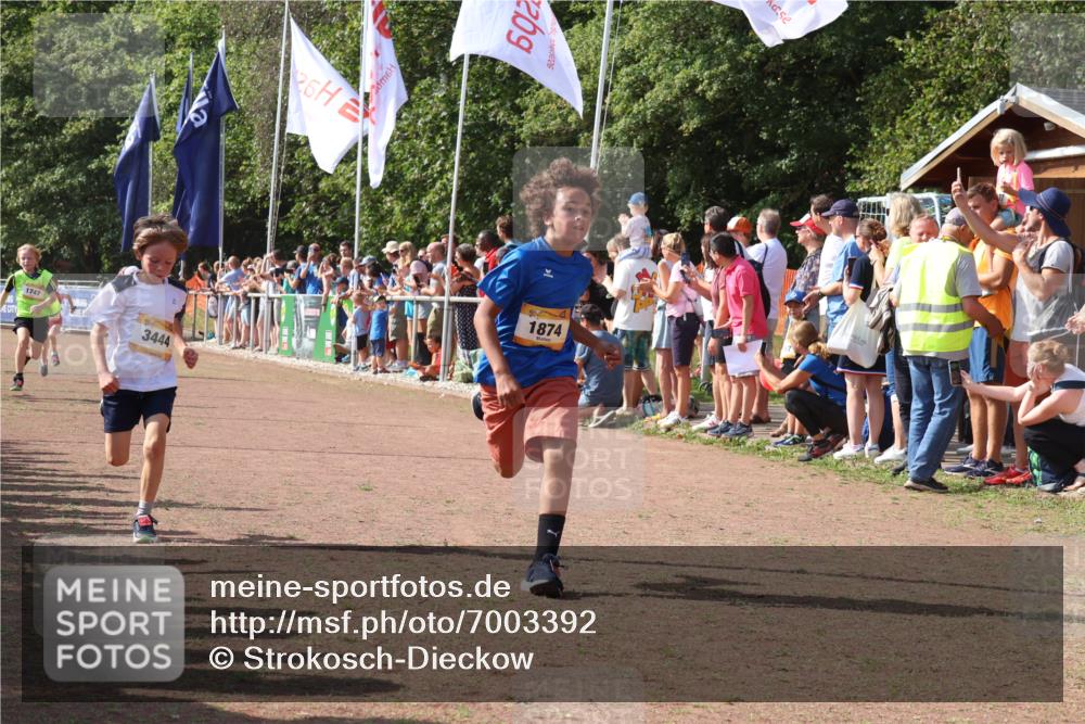 08.09.2024 - Airport Race Strokosch-Dieckow http://msf.ph/oto/7003392 08.09.2024 11:27:03 Ziel 1727, 1745, 1747, 1751, 1867, 1874, 3444, 3451 meine-sportfotos.de