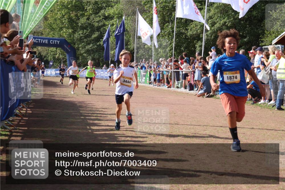 08.09.2024 - Airport Race Strokosch-Dieckow http://msf.ph/oto/7003409 08.09.2024 11:27:03 Ziel 1727, 1745, 1747, 1751, 1867, 1874, 3444, 3451 meine-sportfotos.de