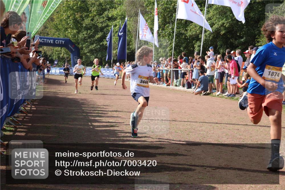 08.09.2024 - Airport Race Strokosch-Dieckow http://msf.ph/oto/7003420 08.09.2024 11:27:03 Ziel 1727, 1745, 1747, 1751, 1867, 1874, 3444, 3451 meine-sportfotos.de