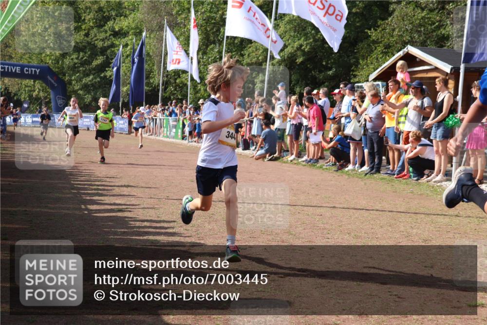 08.09.2024 - Airport Race Strokosch-Dieckow http://msf.ph/oto/7003445 08.09.2024 11:27:04 Ziel 1727, 1745, 1747, 1751, 1867, 1874, 3444, 3451 meine-sportfotos.de