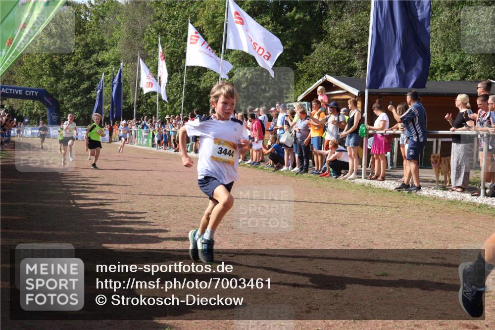 08.09.2024 - Airport Race Strokosch-Dieckow http://msf.ph/oto/7003461 08.09.2024 11:27:04 Ziel 1727, 1745, 1747, 1751, 1867, 1874, 3444, 3451 meine-sportfotos.de