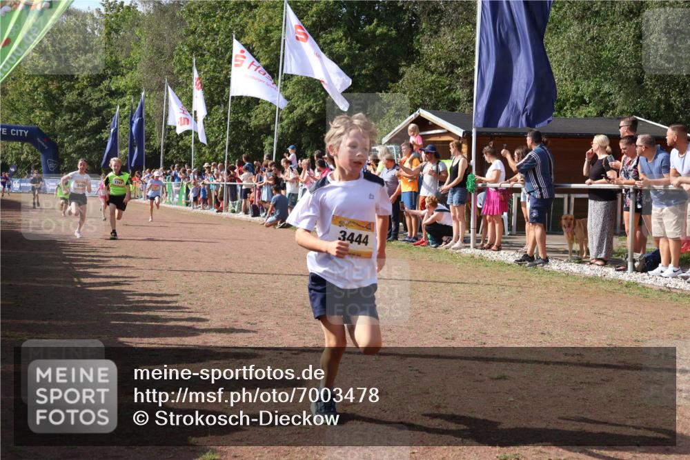 08.09.2024 - Airport Race Strokosch-Dieckow http://msf.ph/oto/7003478 08.09.2024 11:27:04 Ziel 1727, 1745, 1747, 1751, 1867, 1874, 3444, 3451 meine-sportfotos.de