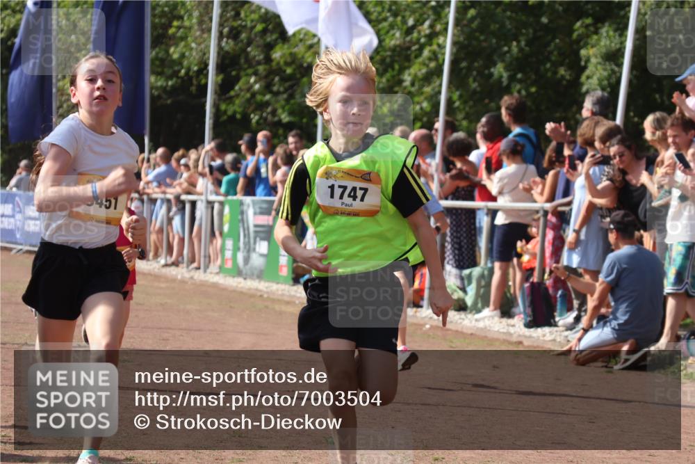 08.09.2024 - Airport Race Strokosch-Dieckow http://msf.ph/oto/7003504 08.09.2024 11:27:05 Ziel 1649, 1707, 1727, 1745, 1747, 1751, 1867, 3444, 3451 meine-sportfotos.de