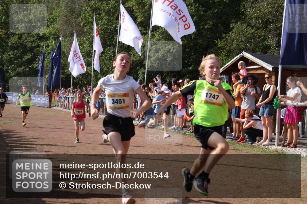 08.09.2024 - Airport Race Strokosch-Dieckow http://msf.ph/oto/7003544 08.09.2024 11:27:06 Ziel 1649, 1707, 1727, 1745, 1747, 1751, 1867, 1898, 3451 meine-sportfotos.de