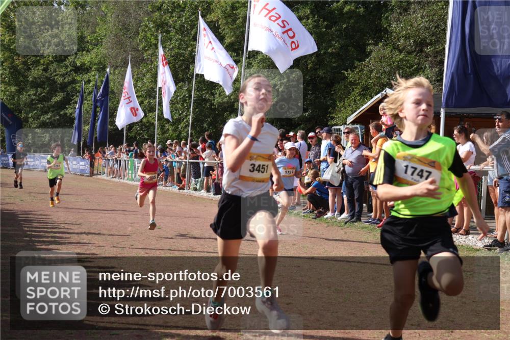 08.09.2024 - Airport Race Strokosch-Dieckow http://msf.ph/oto/7003561 08.09.2024 11:27:06 Ziel 1649, 1707, 1727, 1745, 1747, 1751, 1867, 1898, 3451 meine-sportfotos.de