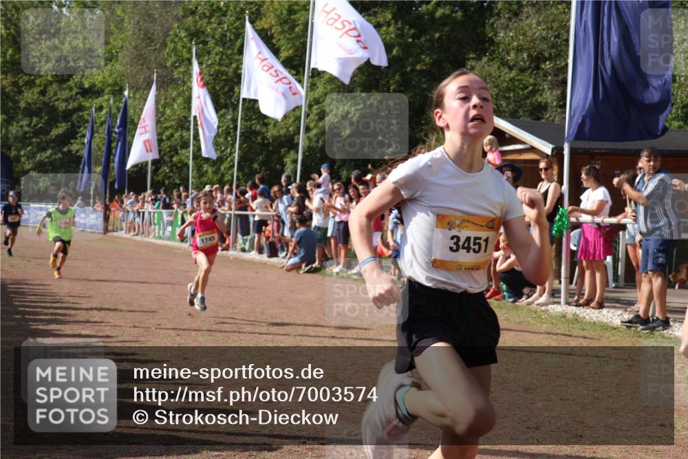 08.09.2024 - Airport Race Strokosch-Dieckow http://msf.ph/oto/7003574 08.09.2024 11:27:06 Ziel 1649, 1707, 1727, 1745, 1747, 1751, 1867, 1898, 3451 meine-sportfotos.de