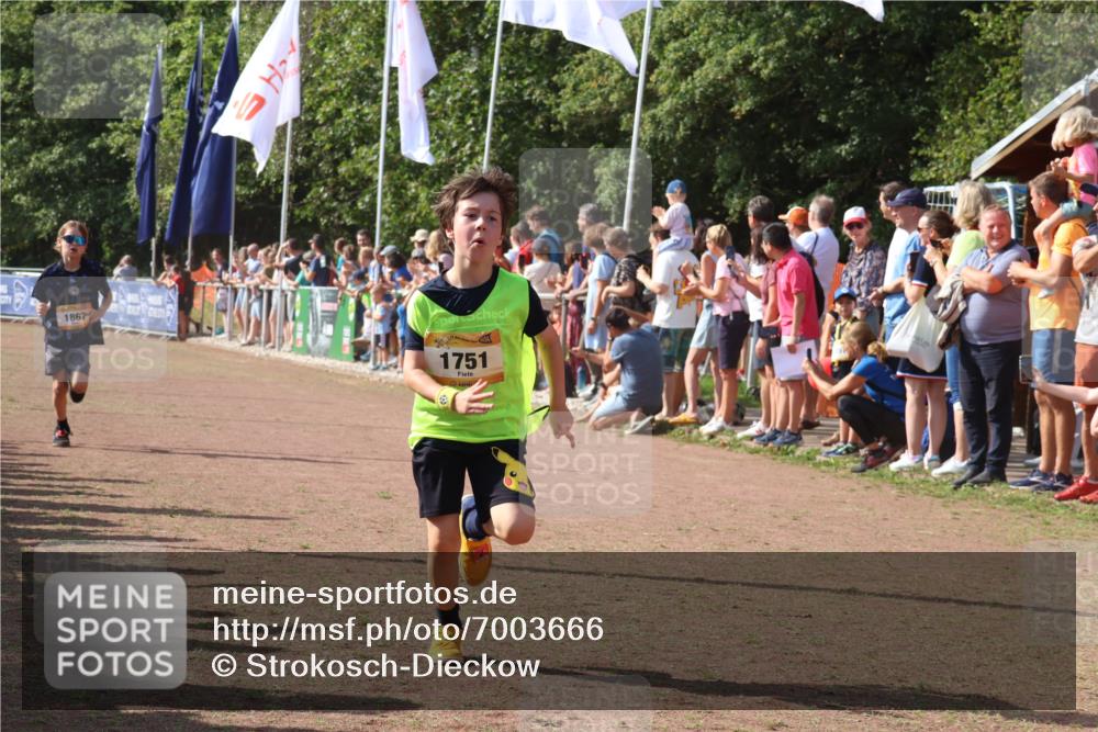 08.09.2024 - Airport Race Strokosch-Dieckow http://msf.ph/oto/7003666 08.09.2024 11:27:09 Ziel 1649, 1707, 1751, 1867, 1893, 1898, 1914 meine-sportfotos.de