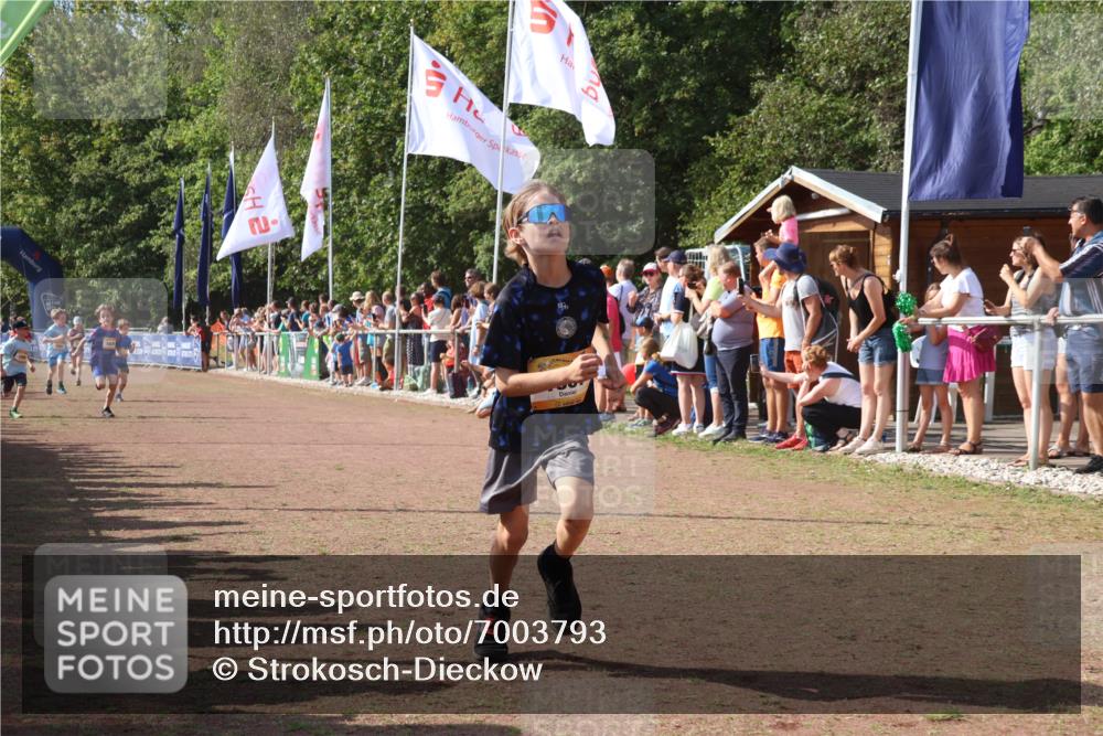 08.09.2024 - Airport Race Strokosch-Dieckow http://msf.ph/oto/7003793 08.09.2024 11:27:12 Ziel 1649, 1650, 1703, 1707, 1717, 1862, 1867, 1893, 1898, 1914 meine-sportfotos.de