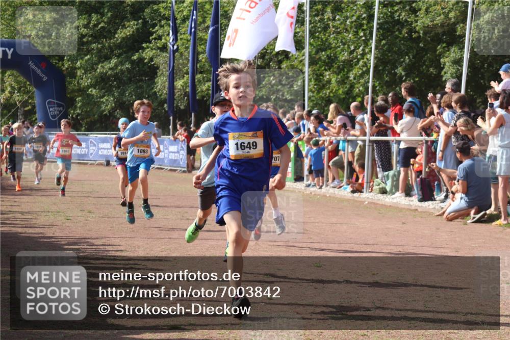 08.09.2024 - Airport Race Strokosch-Dieckow http://msf.ph/oto/7003842 08.09.2024 11:27:15 Ziel 1649, 1650, 1702, 1703, 1707, 1717, 1748, 1848, 1862, 1893, 1898, 1914, 1934 meine-sportfotos.de