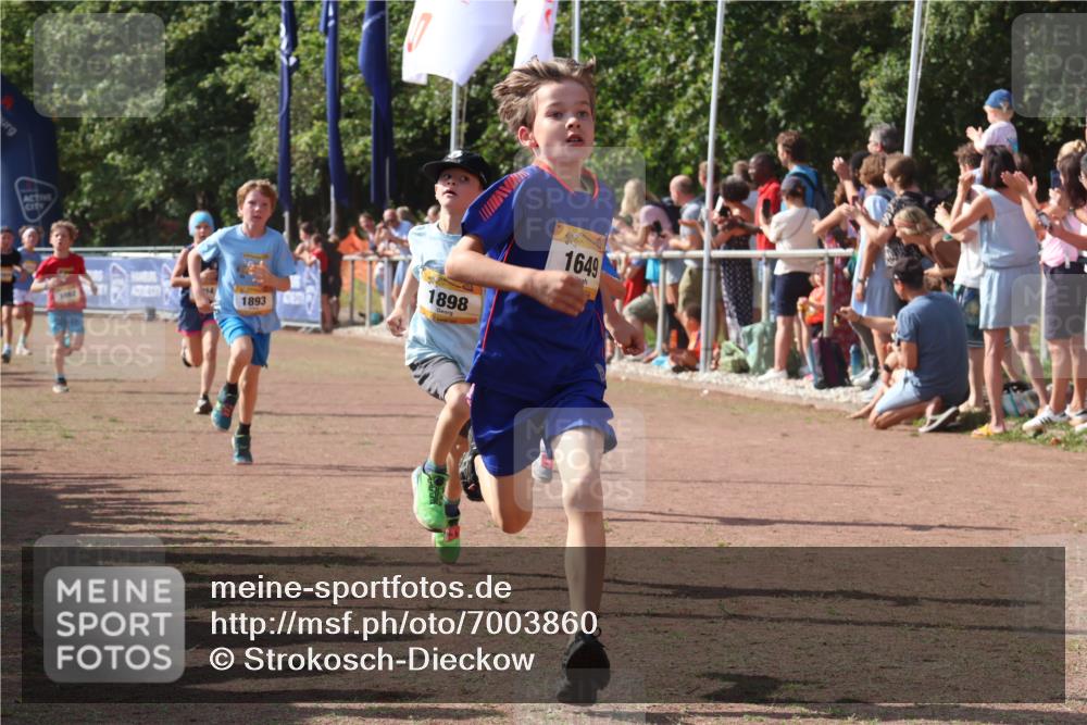 08.09.2024 - Airport Race Strokosch-Dieckow http://msf.ph/oto/7003860 08.09.2024 11:27:15 Ziel 1649, 1650, 1702, 1703, 1707, 1717, 1748, 1848, 1862, 1893, 1898, 1914, 1934 meine-sportfotos.de