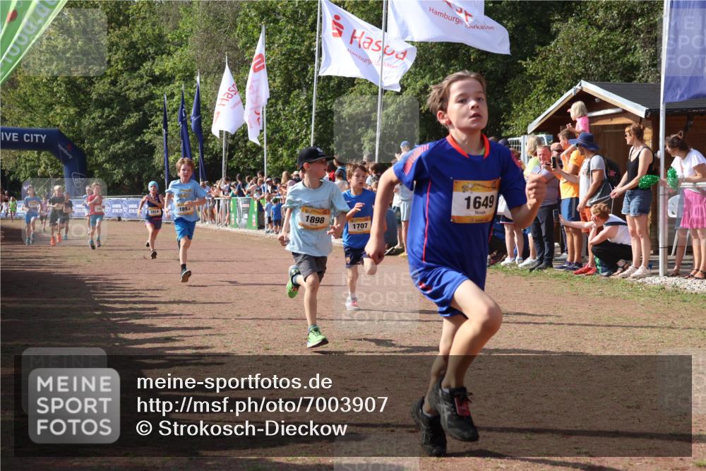 08.09.2024 - Airport Race Strokosch-Dieckow http://msf.ph/oto/7003907 08.09.2024 11:27:16 Ziel 1649, 1650, 1702, 1703, 1707, 1717, 1748, 1848, 1862, 1893, 1898, 1914, 1934 meine-sportfotos.de