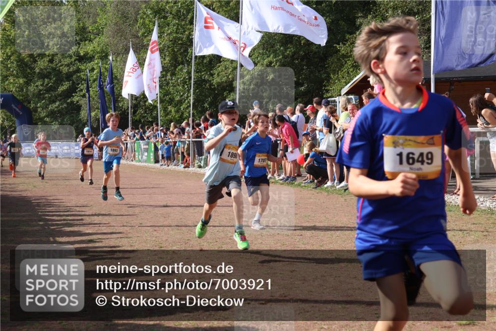 08.09.2024 - Airport Race Strokosch-Dieckow http://msf.ph/oto/7003921 08.09.2024 11:27:16 Ziel 1649, 1650, 1702, 1703, 1707, 1717, 1748, 1848, 1862, 1893, 1898, 1914, 1934 meine-sportfotos.de