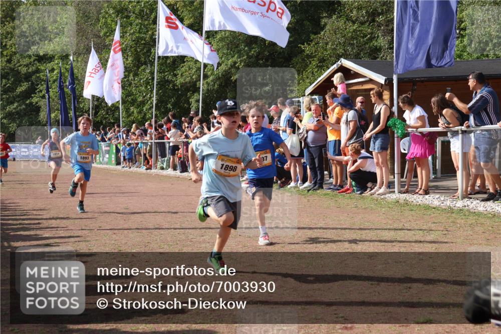 08.09.2024 - Airport Race Strokosch-Dieckow http://msf.ph/oto/7003930 08.09.2024 11:27:16 Ziel 1649, 1650, 1702, 1703, 1707, 1717, 1748, 1848, 1862, 1893, 1898, 1914, 1934 meine-sportfotos.de