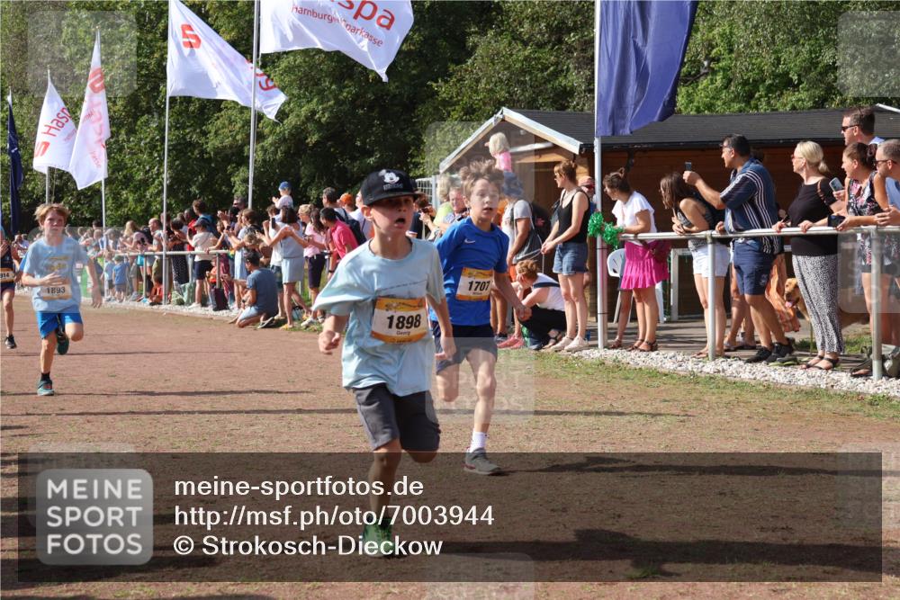 08.09.2024 - Airport Race Strokosch-Dieckow http://msf.ph/oto/7003944 08.09.2024 11:27:17 Ziel 1649, 1650, 1702, 1703, 1707, 1717, 1748, 1848, 1862, 1893, 1898, 1914, 1934 meine-sportfotos.de