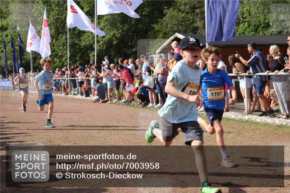 08.09.2024 - Airport Race Strokosch-Dieckow http://msf.ph/oto/7003958 08.09.2024 11:27:17 Ziel 1649, 1650, 1702, 1703, 1707, 1717, 1748, 1848, 1862, 1893, 1898, 1914, 1934 meine-sportfotos.de