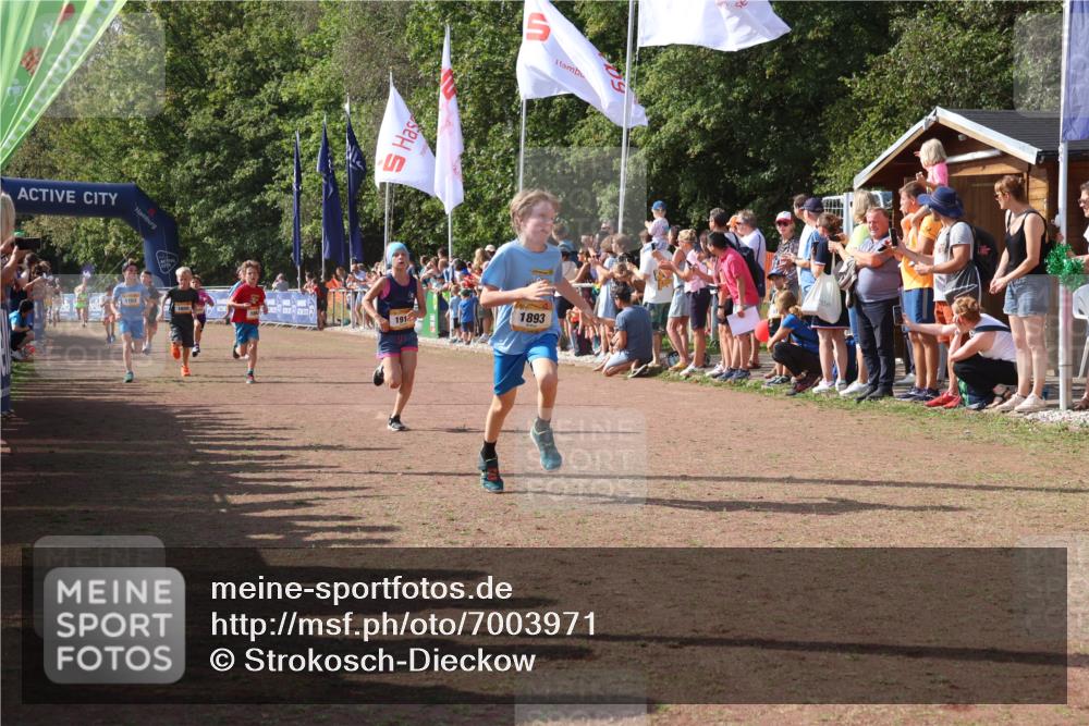 08.09.2024 - Airport Race Strokosch-Dieckow http://msf.ph/oto/7003971 08.09.2024 11:27:17 Ziel 1649, 1650, 1702, 1703, 1707, 1717, 1748, 1848, 1862, 1893, 1898, 1914, 1934 meine-sportfotos.de