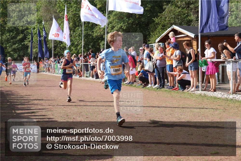 08.09.2024 - Airport Race Strokosch-Dieckow http://msf.ph/oto/7003998 08.09.2024 11:27:18 Ziel 1650, 1702, 1703, 1717, 1748, 1848, 1862, 1893, 1898, 1914, 1934 meine-sportfotos.de