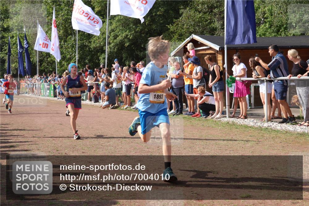 08.09.2024 - Airport Race Strokosch-Dieckow http://msf.ph/oto/7004010 08.09.2024 11:27:18 Ziel 1650, 1702, 1703, 1717, 1748, 1848, 1862, 1893, 1898, 1914, 1934 meine-sportfotos.de