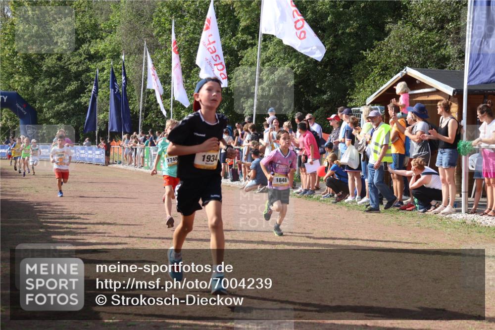 08.09.2024 - Airport Race Strokosch-Dieckow http://msf.ph/oto/7004239 08.09.2024 11:27:24 Ziel 1615, 1616, 1702, 1717, 1748, 1777, 1823, 1840, 1848, 1862, 1883, 1899, 1932, 1934, 3421, 3425, 3452 meine-sportfotos.de