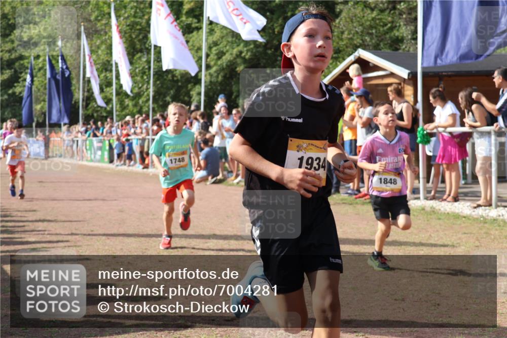 08.09.2024 - Airport Race Strokosch-Dieckow http://msf.ph/oto/7004281 08.09.2024 11:27:25 Ziel 1615, 1616, 1702, 1748, 1777, 1823, 1840, 1848, 1883, 1899, 1932, 1934, 3421, 3425, 3452 meine-sportfotos.de