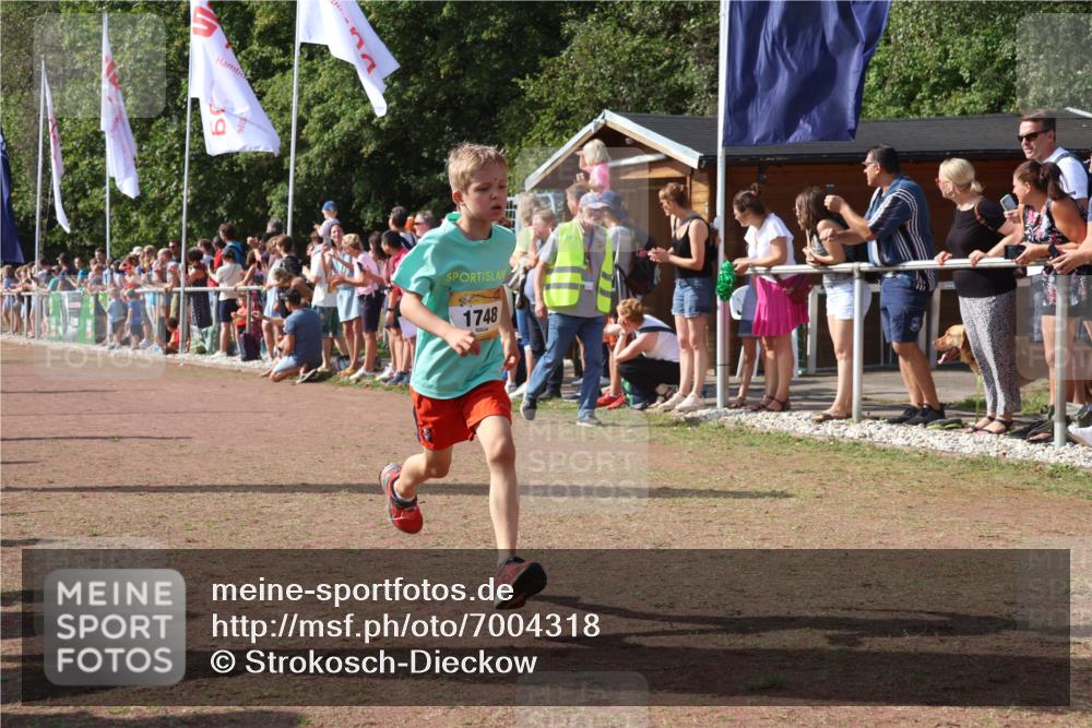 08.09.2024 - Airport Race Strokosch-Dieckow http://msf.ph/oto/7004318 08.09.2024 11:27:26 Ziel 1615, 1616, 1748, 1777, 1823, 1840, 1848, 1883, 1899, 1932, 1934, 3421, 3425, 3452 meine-sportfotos.de