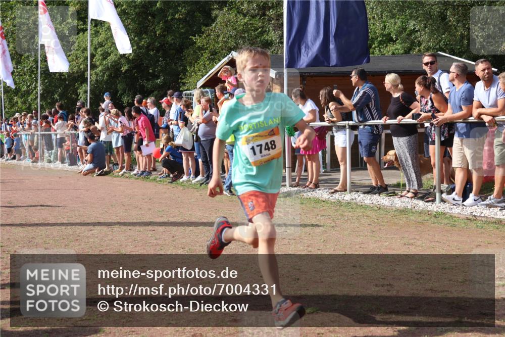 08.09.2024 - Airport Race Strokosch-Dieckow http://msf.ph/oto/7004331 08.09.2024 11:27:26 Ziel 1615, 1616, 1748, 1777, 1823, 1840, 1848, 1883, 1899, 1932, 1934, 3421, 3425, 3452 meine-sportfotos.de
