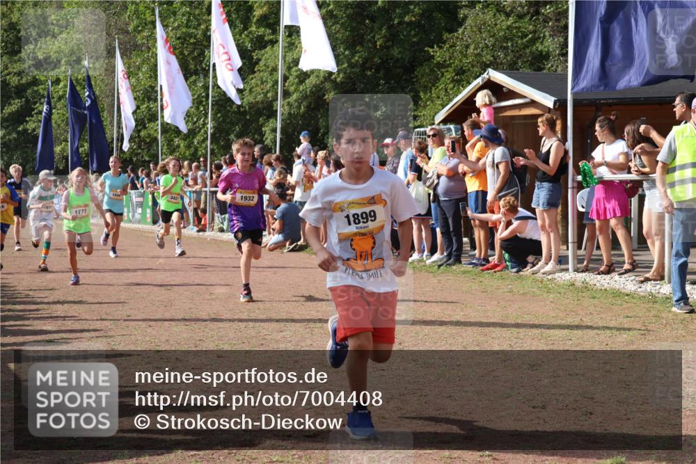 08.09.2024 - Airport Race Strokosch-Dieckow http://msf.ph/oto/7004408 08.09.2024 11:27:28 Ziel 1615, 1616, 1777, 1823, 1831, 1840, 1875, 1883, 1899, 1932, 3421, 3425, 3452 meine-sportfotos.de
