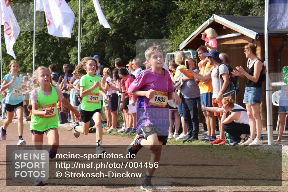 08.09.2024 - Airport Race Strokosch-Dieckow http://msf.ph/oto/7004456 08.09.2024 11:27:30 Ziel 1615, 1616, 1777, 1823, 1831, 1840, 1875, 1883, 1899, 1932, 3421, 3425, 3452 meine-sportfotos.de