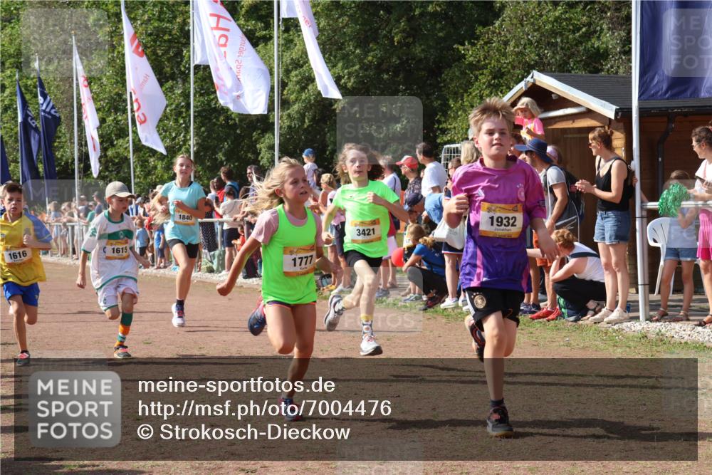 08.09.2024 - Airport Race Strokosch-Dieckow http://msf.ph/oto/7004476 08.09.2024 11:27:30 Ziel 1615, 1616, 1777, 1823, 1831, 1840, 1875, 1883, 1899, 1932, 3421, 3425, 3452 meine-sportfotos.de