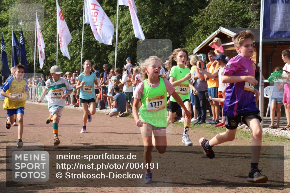 08.09.2024 - Airport Race Strokosch-Dieckow http://msf.ph/oto/7004491 08.09.2024 11:27:30 Ziel 1615, 1616, 1777, 1823, 1831, 1840, 1875, 1883, 1899, 1932, 3421, 3425, 3452 meine-sportfotos.de