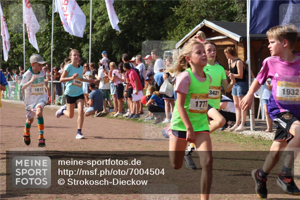 08.09.2024 - Airport Race Strokosch-Dieckow http://msf.ph/oto/7004504 08.09.2024 11:27:30 Ziel 1615, 1616, 1777, 1823, 1831, 1840, 1875, 1883, 1899, 1932, 3421, 3425, 3452 meine-sportfotos.de