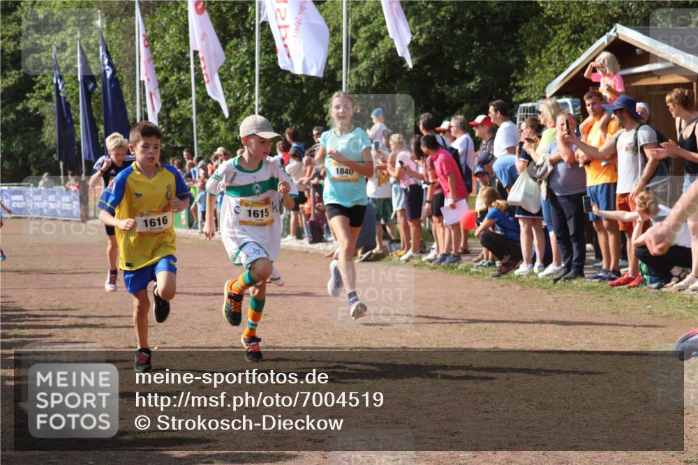 08.09.2024 - Airport Race Strokosch-Dieckow http://msf.ph/oto/7004519 08.09.2024 11:27:31 Ziel 1615, 1616, 1777, 1823, 1831, 1840, 1875, 1883, 1899, 1932, 3421, 3425, 3452 meine-sportfotos.de