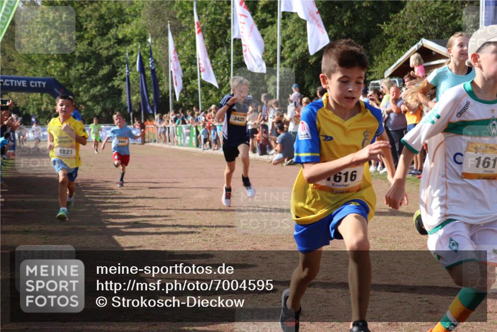 08.09.2024 - Airport Race Strokosch-Dieckow http://msf.ph/oto/7004595 08.09.2024 11:27:32 Ziel 1615, 1616, 1823, 1831, 1840, 1869, 1875, 1883, 3425, 3452 meine-sportfotos.de