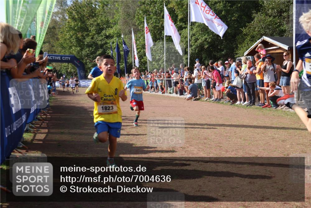 08.09.2024 - Airport Race Strokosch-Dieckow http://msf.ph/oto/7004636 08.09.2024 11:27:33 Ziel 1608, 1823, 1831, 1840, 1869, 1875, 1883, 1900, 3425, 3452 meine-sportfotos.de