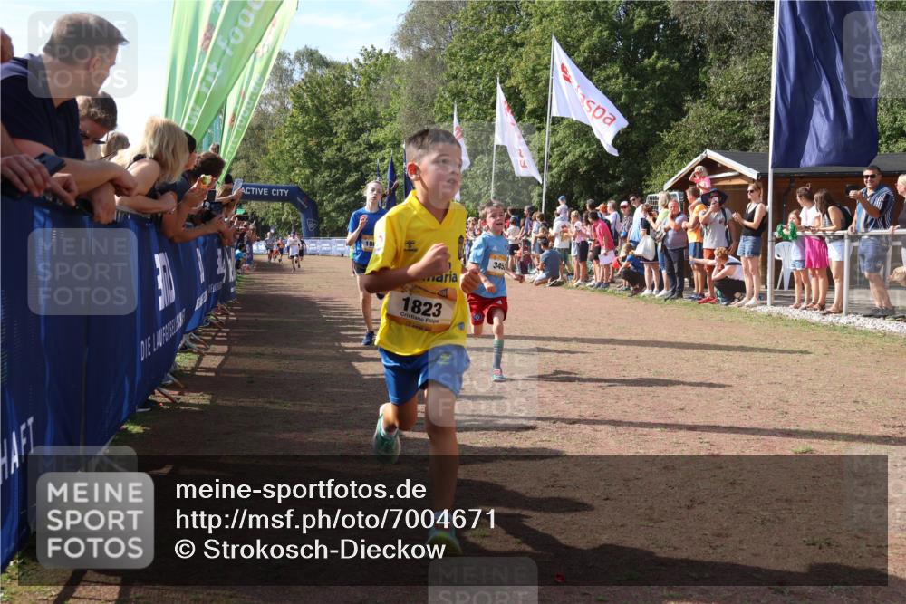 08.09.2024 - Airport Race Strokosch-Dieckow http://msf.ph/oto/7004671 08.09.2024 11:27:33 Ziel 1608, 1823, 1831, 1840, 1869, 1875, 1883, 1900, 3425, 3452 meine-sportfotos.de