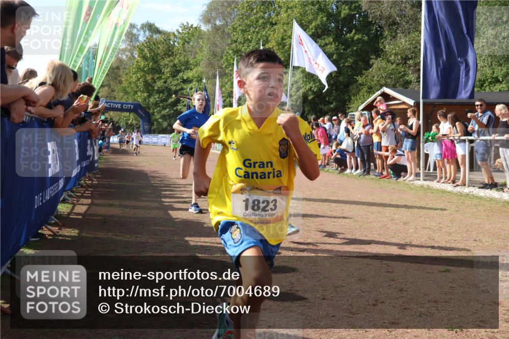 08.09.2024 - Airport Race Strokosch-Dieckow http://msf.ph/oto/7004689 08.09.2024 11:27:34 Ziel 1608, 1808, 1823, 1831, 1840, 1869, 1875, 1883, 1900, 3425, 3446, 3452 meine-sportfotos.de