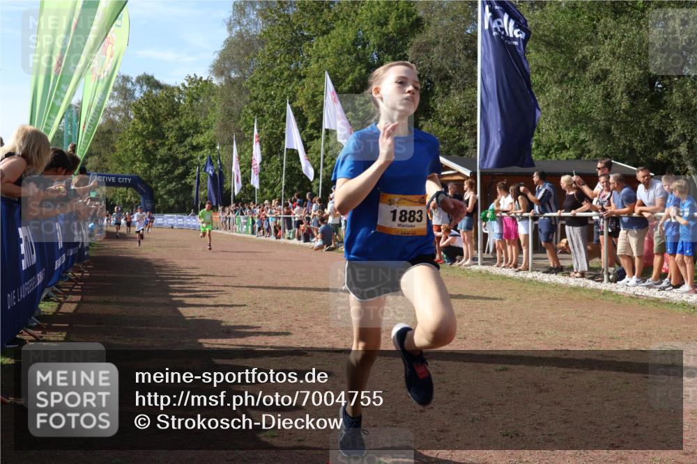 08.09.2024 - Airport Race Strokosch-Dieckow http://msf.ph/oto/7004755 08.09.2024 11:27:35 Ziel 1608, 1808, 1823, 1831, 1869, 1875, 1883, 1900, 1904, 3425, 3446, 3452 meine-sportfotos.de