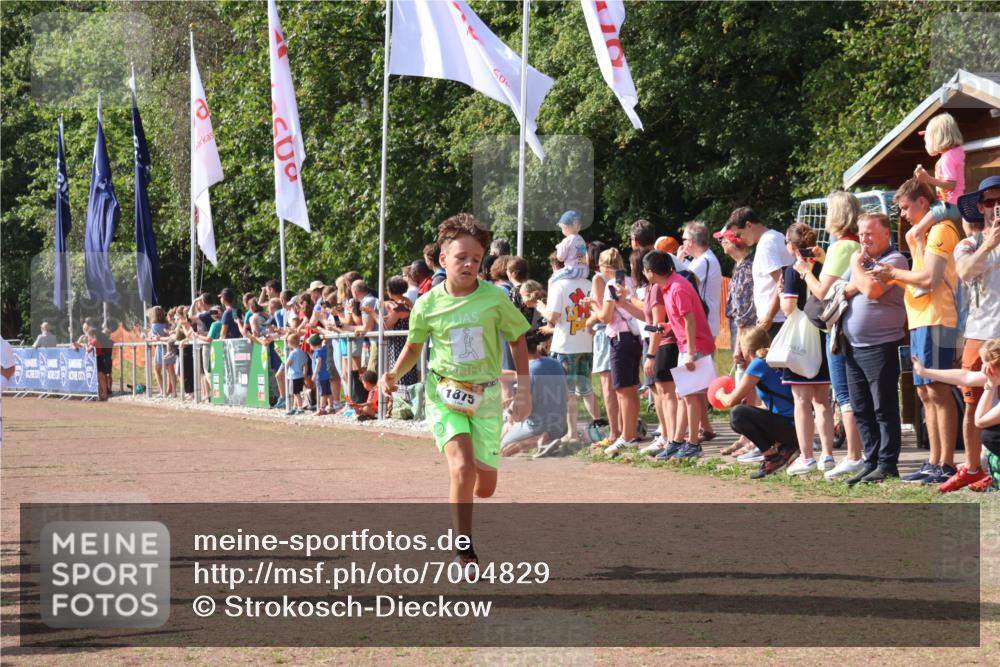 08.09.2024 - Airport Race Strokosch-Dieckow http://msf.ph/oto/7004829 08.09.2024 11:27:37 Ziel 1608, 1781, 1808, 1831, 1869, 1875, 1900, 1904, 3405, 3446 meine-sportfotos.de