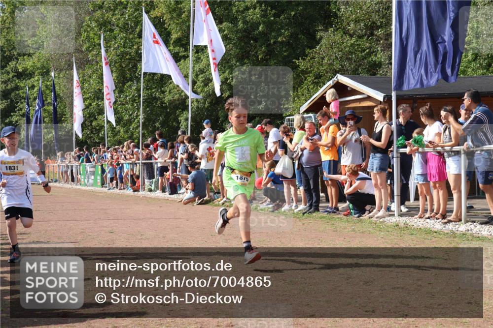 08.09.2024 - Airport Race Strokosch-Dieckow http://msf.ph/oto/7004865 08.09.2024 11:27:38 Ziel 1608, 1781, 1808, 1820, 1831, 1869, 1875, 1900, 1904, 3405, 3416, 3417, 3446 meine-sportfotos.de