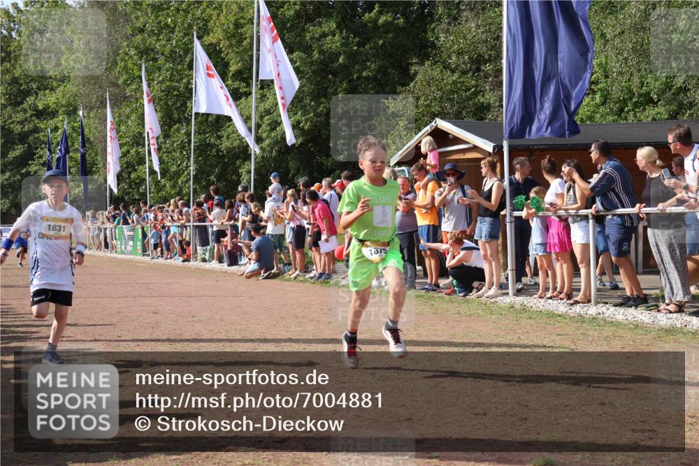08.09.2024 - Airport Race Strokosch-Dieckow http://msf.ph/oto/7004881 08.09.2024 11:27:38 Ziel 1608, 1781, 1808, 1820, 1831, 1869, 1875, 1900, 1904, 3405, 3416, 3417, 3446 meine-sportfotos.de