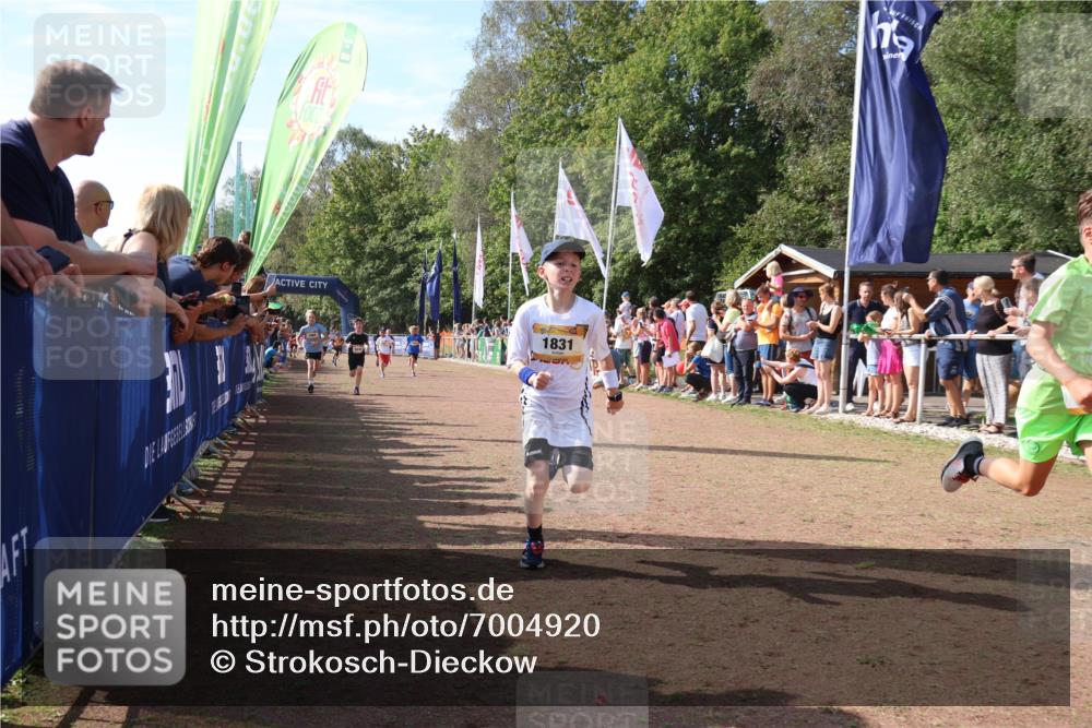 08.09.2024 - Airport Race Strokosch-Dieckow http://msf.ph/oto/7004920 08.09.2024 11:27:39 Ziel 1608, 1781, 1808, 1820, 1831, 1869, 1875, 1900, 1904, 3405, 3416, 3417, 3446 meine-sportfotos.de