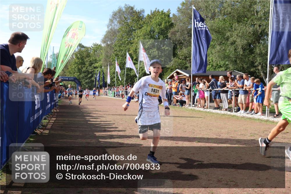 08.09.2024 - Airport Race Strokosch-Dieckow http://msf.ph/oto/7004933 08.09.2024 11:27:39 Ziel 1608, 1781, 1808, 1820, 1831, 1869, 1875, 1900, 1904, 3405, 3416, 3417, 3446 meine-sportfotos.de