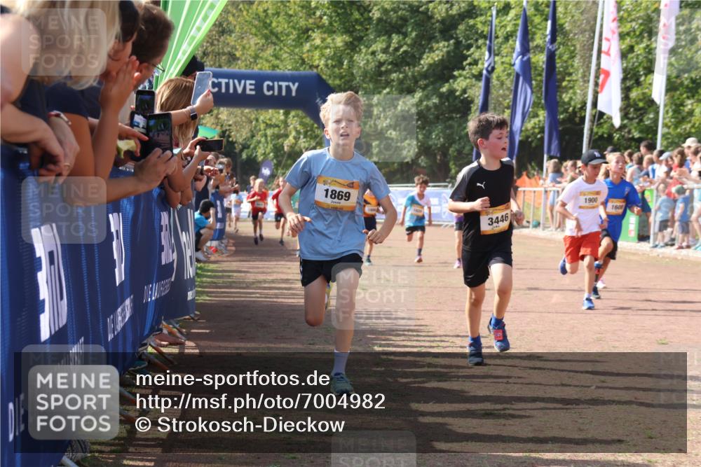 08.09.2024 - Airport Race Strokosch-Dieckow http://msf.ph/oto/7004982 08.09.2024 11:27:41 Ziel 1608, 1746, 1781, 1808, 1820, 1866, 1869, 1900, 1902, 1904, 1927, 3405, 3416, 3417, 3429, 3446 meine-sportfotos.de