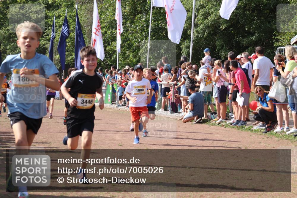 08.09.2024 - Airport Race Strokosch-Dieckow http://msf.ph/oto/7005026 08.09.2024 11:27:42 Ziel 1608, 1746, 1781, 1808, 1812, 1820, 1866, 1869, 1900, 1902, 1904, 1927, 3405, 3416, 3417, 3429, 3446 meine-sportfotos.de