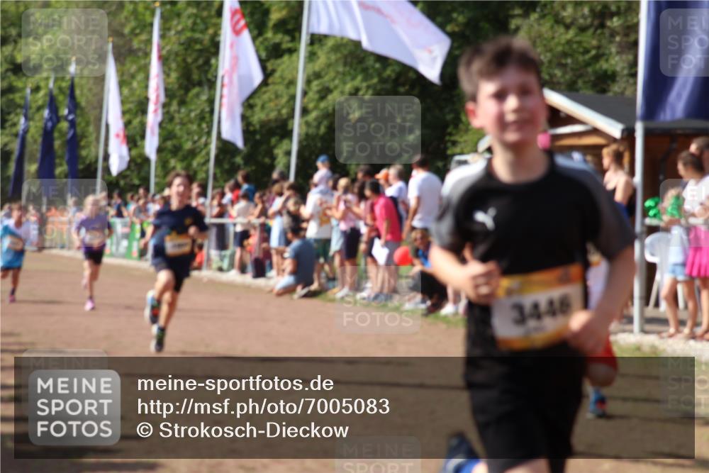 08.09.2024 - Airport Race Strokosch-Dieckow http://msf.ph/oto/7005083 08.09.2024 11:27:43 Ziel 1608, 1746, 1781, 1808, 1812, 1820, 1866, 1869, 1900, 1902, 1904, 1927, 3405, 3416, 3417, 3429, 3446 meine-sportfotos.de