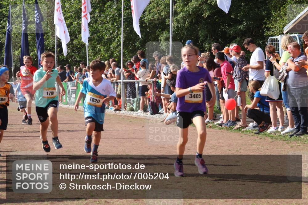 08.09.2024 - Airport Race Strokosch-Dieckow http://msf.ph/oto/7005204 08.09.2024 11:27:46 Ziel 1607, 1646, 1746, 1781, 1808, 1812, 1820, 1866, 1902, 1904, 1912, 1927, 3405, 3416, 3417, 3429, 3446 meine-sportfotos.de