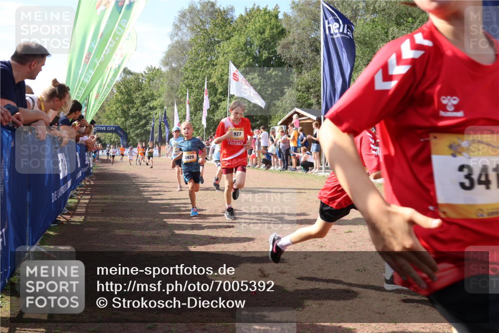 08.09.2024 - Airport Race Strokosch-Dieckow http://msf.ph/oto/7005392 08.09.2024 11:27:49 Ziel 1607, 1633, 1642, 1646, 1719, 1746, 1781, 1812, 1820, 1860, 1866, 1885, 1892, 1902, 1912, 1927, 3405, 3415, 3416, 3417, 3429 meine-sportfotos.de