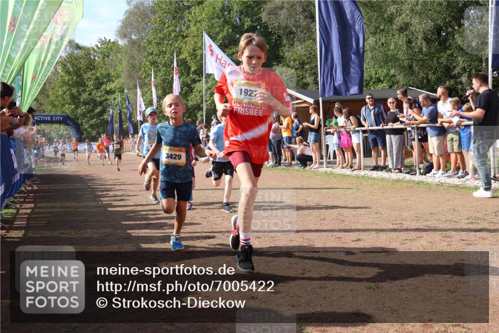 08.09.2024 - Airport Race Strokosch-Dieckow http://msf.ph/oto/7005422 08.09.2024 11:27:50 Ziel 1607, 1633, 1642, 1646, 1719, 1746, 1812, 1820, 1860, 1866, 1885, 1892, 1902, 1912, 1927, 3415, 3416, 3417, 3429 meine-sportfotos.de
