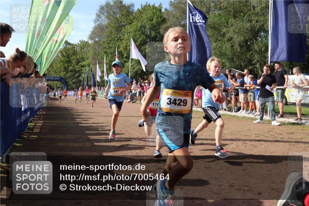 08.09.2024 - Airport Race Strokosch-Dieckow http://msf.ph/oto/7005464 08.09.2024 11:27:51 Ziel 1607, 1633, 1642, 1646, 1719, 1746, 1812, 1860, 1866, 1885, 1892, 1902, 1912, 1927, 3415, 3429, 3432 meine-sportfotos.de