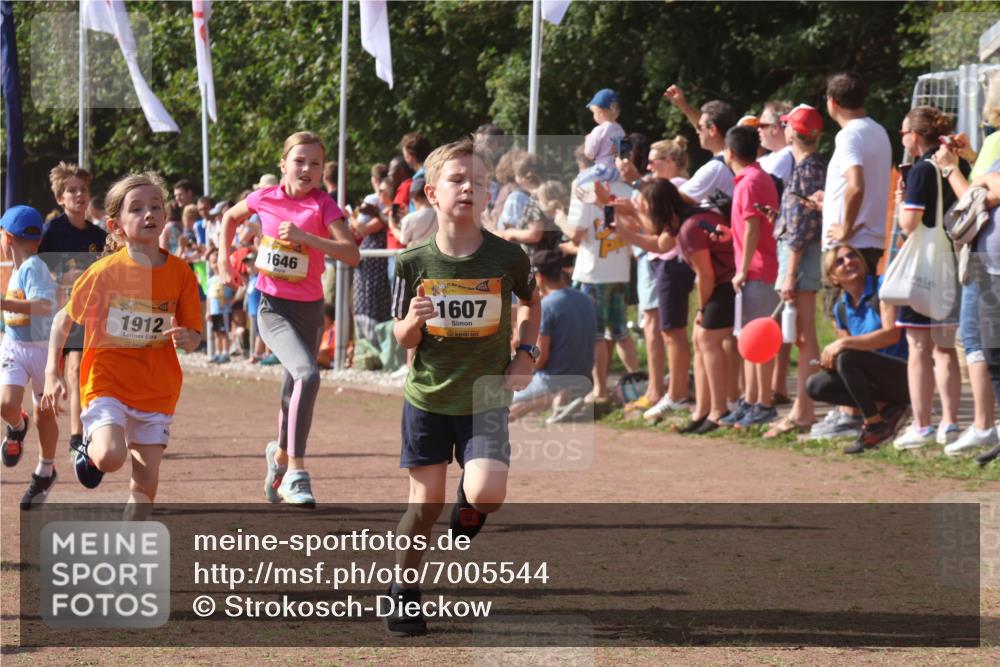 08.09.2024 - Airport Race Strokosch-Dieckow http://msf.ph/oto/7005544 08.09.2024 11:27:53 Ziel 1607, 1633, 1642, 1646, 1719, 1812, 1818, 1843, 1860, 1885, 1892, 1912, 3415, 3422, 3429, 3432 meine-sportfotos.de